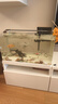 森森 超白玻璃小型熱彎水草魚缸HRK-600套缸+過濾器+水草燈 曬單實(shí)拍圖