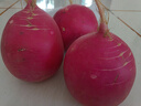 鮮級佳東北大紅蘿卜 紅皮白心大紅袍圓蘿卜新鮮農家雌性甜脆生吃5斤 5斤【順豐快遞】 曬單實(shí)拍圖
