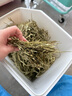 潔西 提摩西草 精選北提兔兔牧草干草成兔糧豚鼠龍貓?zhí)岵蒿暳?00g 曬單實(shí)拍圖