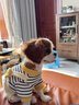 MIKI PAD寵物狗狗衣服小型犬可牽引外出背帶褲春夏幼犬衣服比熊泰迪雪納瑞 黃色小熊背帶褲 L背長35cm（參考體重9-13斤） 曬單實(shí)拍圖
