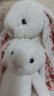 Jellycat花布邦尼兔動(dòng)物毛絨玩偶兔子玩偶兒童禮物娃娃生日七夕情人節(jié)禮物 白芮（乳白色） Small 曬單實(shí)拍圖