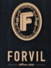 溫莎森林FORVIL護(hù)發(fā)精油毛糙滋養(yǎng)摩洛哥發(fā)油菁純閃耀精華油70ml 曬單實拍圖