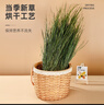 喜帥兔子提摩西草 精選烘干北提提草龍貓兔糧荷蘭豬主糧磨牙零食500g 曬單實拍圖