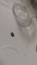 【京東物流】可愛(ài)大容量花茶杯卡通玻璃杯泡茶水杯便攜雙飲杯子 粉色 500ml 曬單實(shí)拍圖