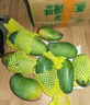 集南鮮 凱特芒果 四川攀枝花芒果當(dāng)季大青皮黃皮大芒果新鮮水果整箱 含箱5斤  單果600g起  凈重4.5斤 曬單實(shí)拍圖
