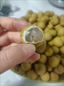 優(yōu)味集龍眼新鮮水果【JD順豐速發(fā)】廣東石硤桂圓老樹果應(yīng)季孕婦水果整箱 4.8斤凈重裝（家庭暢享）-順豐 鮮采帶枝 曬單實拍圖