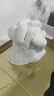 金歸七夕情人節(jié)情侶手膜石膏粉情人禮物手工制作模型3d手模型制作材料 文藝情侶套餐 曬單實(shí)拍圖