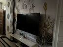 TCL電視 65V8L Pro 65英寸 144Hz高刷 QLED量子點(diǎn) 3GB+64GB大內存 4K deepseek AI電視 國家補貼20% 65英寸 曬單實(shí)拍圖
