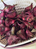桃西村【順豐速運(yùn)】浙江嘉興特產(chǎn)南湖菱四角紅菱角新鮮當(dāng)季嫩菱角生吃 1000g 嫩菱角（只能生吃炒菜，不能水煮吃） 曬單實(shí)拍圖