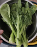 東升寧夏供港菜心300g菜薹新鮮時(shí)蔬食品嫩甜現(xiàn)摘火鍋白灼 供港蔬菜 曬單實(shí)拍圖