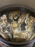 百味殿【活鮮】生蠔 乳山牡蠣 新鮮海蠣子生鮮貝類(lèi) 【鮮肉多汁】2XL帶箱5斤(15-18只) 曬單實(shí)拍圖
