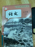 【新華書(shū)店】正版2025適用初中7七年級上冊語(yǔ)文課本教材教科書(shū)人教版部編版全國統一初一1上7七年級語(yǔ)文書(shū)上冊人民教育出版社 七年級上冊語(yǔ)文 曬單實(shí)拍圖