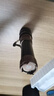 天火手電筒蒼龍強光超亮變焦遠射超長續(xù)航充電家用野外生存軍戶外專用 曬單實拍圖