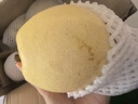 正宗河北皇冠梨 產(chǎn)地直發(fā) 現(xiàn)摘現(xiàn)發(fā) 脆甜多汁梨子整箱新鮮水果 皇冠梨凈重3斤 曬單實拍圖