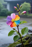 華為 HUAWEI Mate Xs2 華為折疊屏手機(jī) 二手手機(jī) 華為matexs2二手 折疊屏手機(jī) 雅黑【店長推薦】 8GB+256GB（100%電池效率） 95新 曬單實拍圖