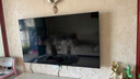 TCL電視雷鳥 鶴6 25款 65英寸MiniLED電視 288Hz 4+64GB 家電國(guó)家補(bǔ)貼 一級(jí)能效智能電視機(jī)65S595C-A 曬單實(shí)拍圖