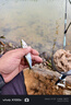 達(dá)摩浮漂輕口鯽魚(yú)漂高靈敏咬鉤變色鯉魚(yú)綜合日夜兩用電子夜光漂 DL-12【不變色底釣羅非】 1號(hào) 曬單實(shí)拍圖