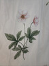 茵曼植物碎花女裝無袖連衣裙浪漫度假風(fēng)寬松2025夏季新品花苞長裙子 杏色-18528022【好評返現(xiàn)】 M 曬單實拍圖
