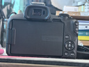 佳能（Canon）佳能R50 微單相機高速連拍家庭旅游視頻拍攝4KVolg小型便攜照相機 R50 黑色+RF50mm F1.8小痰盂 官方標(biāo)配（機身+電池+肩帶） 曬單實拍圖