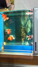 仟湖OF綠鷹氧氣泵魚(yú)缸沖氧泵大氣量增氧機養魚(yú)水族箱交直流氧氣泵安靜 雙孔10W 觸摸版 曬單實(shí)拍圖