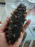 樂老板淡干海參 高泡發(fā) 底播刺參 優(yōu)選500g簡裝 40-80頭 曬單實拍圖