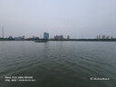 尋灘鮮寧夏灘羊肉手把羊肉 5斤 手抓羊肉羊排羊腿生鮮 原切羊肉源頭直發(fā) 曬單實(shí)拍圖