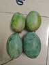 京覓四川凱特芒果新鮮水果凈重4.5斤單果400g+源頭直發(fā)包郵 曬單實(shí)拍圖