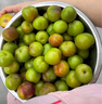 京覓四川茵紅李 脫骨李4.5斤單果15g+小脆紅李子青紅脆李水果源頭直發(fā) 曬單實(shí)拍圖