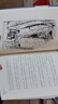 【贈海報】小熊帕丁頓系列 新12冊暑期閱讀暑假自主閱讀課外讀物書 曬單實拍圖