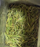 盧正浩2025新茶綠茶白茶一級150g雨前茶葉口糧自飲禮盒春茶安吉送禮袋 曬單實拍圖