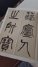 楊沂孫·篆書(shū)陶淵明詩(shī)：篆書(shū)記劉原父語(yǔ)（彩色高清·放大本 超清原帖） 曬單實(shí)拍圖