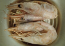 美加佳熟凍北極甜蝦腹籽凈重3斤 90/120規(guī)格  海鮮水產(chǎn) 熟凍甜蝦 曬單實拍圖