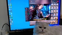 華碩（ASUS）ROG絕神 OLED 26.5英寸顯示屏2K 280Hz顯示器電競G-sync 0.03ms響應(yīng)HDR400真10Bit HDMI2.1 XG27ACDMS 2K280Hz OLED 曬單實拍圖