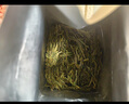 獅峰牌2025年新茶綠茶明前龍井43茶葉特級200g春茶錢塘紙包送禮自己喝 曬單實(shí)拍圖