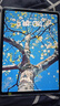 Apple 蘋(píng)果平板電腦iPad Pro 4代 11英寸 2022款 M2芯片  二手蘋(píng)果平板 灰色 256G 曬單實(shí)拍圖
