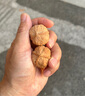 GOR胖東來品質(zhì)大粗筋文玩核桃麻麒麟紋大官帽四座樓盤龍紋獅子頭粗筋 曬單實拍圖