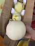 頭茬夢(mèng)露蜜露流星甜瓜當(dāng)季水果新鮮甜瓜翡翠甜瓜冰淇淋蜜瓜 5斤 曬單實(shí)拍圖