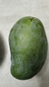 【新鮮當季新鮮】金煌芒大青芒芒果 帶箱4斤【單果250g+】 曬單實拍圖