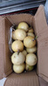 欽蜜9號黃金百香果當(dāng)季大果新鮮水果鵬貿(mào) 百香果20粒小果活動 曬單實拍圖