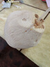 京鮮生越南進(jìn)口椰青椰子9個(gè)裝 大果單果900g+ 新鮮水果 源頭直發(fā)包郵 曬單實(shí)拍圖