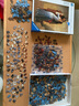 睿思（Ravensburger）【特惠】歐洲進(jìn)口星夜向日葵名畫畫作藝術(shù)裝飾拼圖禮物 1000片海耶茲之吻 曬單實(shí)拍圖