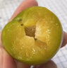 四叔公果蔬貴州蜂糖李【JD順豐冷鏈-多地次日達(dá)】馬六脆李脫骨李子水果禮盒 精品中果（單果38-43mm） 5斤裝【超值推薦-80%買】?jī)?.5斤 曬單實(shí)拍圖