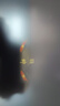 神舟（HASEE）戰(zhàn)神Z8D9/Z8D6游戲本 12代旗艦酷睿i9/i7 新款RTX4060 滿血滿功耗電競大學(xué)生高性能設(shè)計(jì)筆記本電腦 Z8D9標(biāo)準(zhǔn)版：i9/16G內(nèi)存/512G固態(tài) 144Hz高刷電 曬單實(shí)拍圖