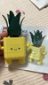 樂高（LEGO）積木拼裝10349 快樂盆栽男孩女孩兒童玩具生日禮物 曬單實拍圖