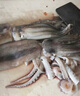 富海錦鮮凍整只大魷魚1.6斤 2-3條 火鍋燒烤食材 轟炸大魷魚海鮮軟足 曬單實拍圖