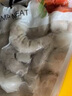 蝦仁鮮凍青蝦仁商用鮮凍批發(fā)冷凍蝦仁去蝦線(xiàn)新鮮特大蝦仁 2包2斤大蝦仁 曬單實(shí)拍圖