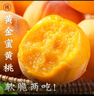 三萌果蔬山東蒙陰黃桃 當季新鮮黃金蜜毛油桃水果現摘次日達桃子送禮 5斤嚴選裝【品質嚴選】凈4.5斤 曬單實拍圖