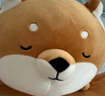 名創(chuàng)優(yōu)品（MINISO）柴犬系列毛絨公仔趴姿玩具娃娃抱枕睡覺室內(nèi)臥室辦公室生日禮物 曬單實(shí)拍圖