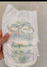 幫寶適【夏天超薄透氣】清新幫透氧Pro嬰兒紙尿褲XL66片 尿片尿不濕 曬單實拍圖