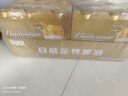 百威（BUDWEISER）百威 金尊啤酒 單一品質(zhì)麥芽 易拉罐 500ML*18罐 百威金尊 500mL 18罐 曬單實拍圖